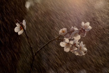 Снег, дождь и грозы: штормовое предупреждение объявили почти во всем Казахстане