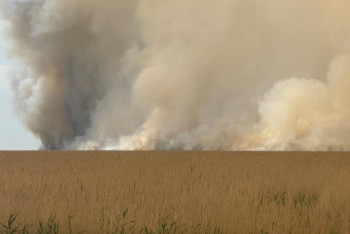Фотография к новости: К тушению масштабного пожара в Атырауской области привлекли авиацию