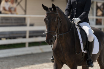 Фотография к новости: Астана приняла международный турнир по конному спорту