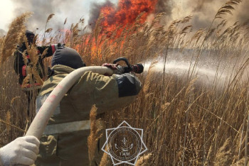 Пожар в заповеднике "Акжайык" локализован: огонь охватил более 1000 гектаров