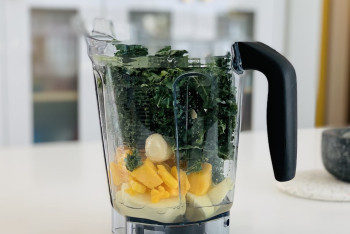 Иностранец пытался откупиться от полиции в Казахстане блендером