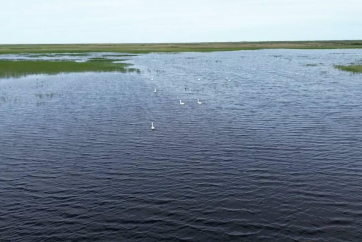В Жамбылской области провели рекордный сброс воды