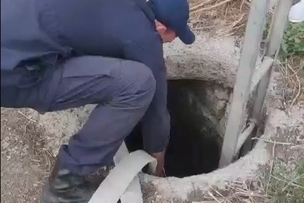 Кадр видео