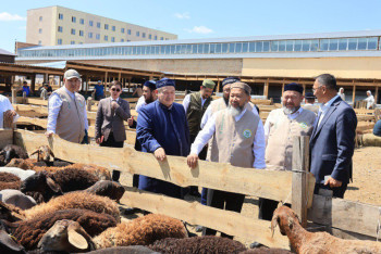 Фотография к новости: В преддверии Курбан-айта Верховный муфтий РК призвал не повышать цены на скот