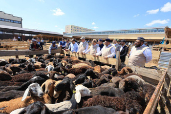 Фотография к новости: Жертвоприношение на Курбан айт стало доступнее благодаря онлайн-сервису