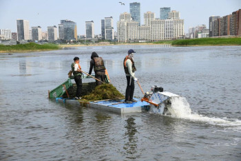 Фотография к новости: В Астане началась биологическая очистка озера Малый Талдыколь