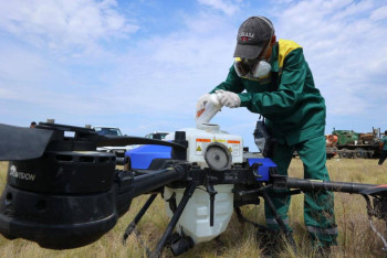 Фотография к новости: Битва с саранчой продолжается: Минсельхоз оценил эффективность агродронов
