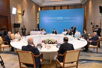 Фотография к новости: Модельный закон в области зеленой энергетики приняли парламенты ТюркПА