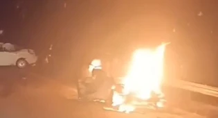 Жуткая авария в Акмолинской области: погибшие, горящее авто и мертвая лошадь