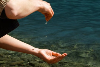 Фотография к новости: В Талдыкоргане спасатели освободили ребёнка из смертельной ловушки