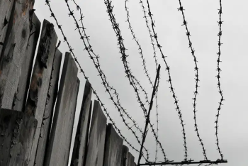 Фотография к новости: Сенат принял закон об амнистии, приуроченный к 30-летию Конституции