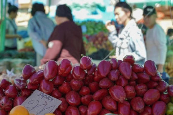 Фотография к новости: Где пройдёт сельхозярмарка в Астане
