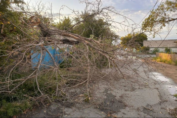 Фотография к новости: Режим ЧС из-за урагана объявят в трех городах Павлодарской области