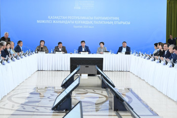 От безопасности до урбанистики: подведены итоги работы Общественной палаты при Мажилисе