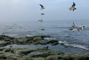 Фотография к новости: Спутниковые данные подтверждают: Каспий системно загрязняется нефтью