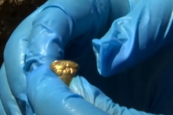 В Алматинской области может быть найден новый "Золотой человек"