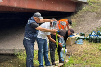 600 литров зеленой жижи вылили в ручей Сарыбулак в столице