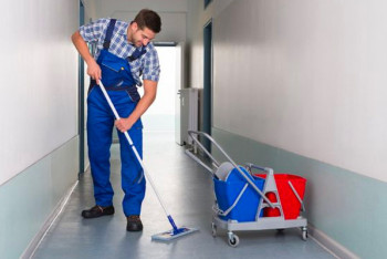 Фотография к новости: Депутат предложил повысить зарплаты и статус уборщиц, охранников и дворников