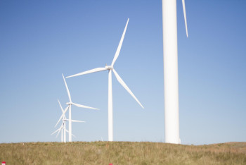 Фотография к новости: Аукционы ВИЭ привлекли в Казахстан более 260 компаний из 14 стран