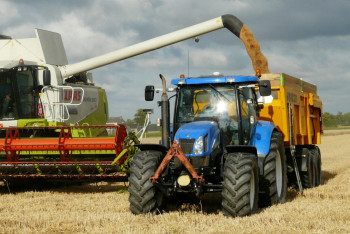Фотография к новости: Казахстан увеличит поставки зерна на таджикский рынок