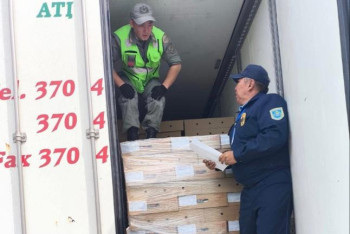 Пять тонн свинины без документов пытались ввезти из России в Казахстан