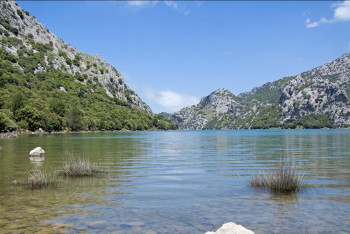 Фотография к новости: Аграрии юга в ожидании: Казахстан, Таджикистан и Узбекистан утвердили график подачи воды