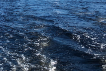 Фотография к новости: В Костанайской области построят отводной канал