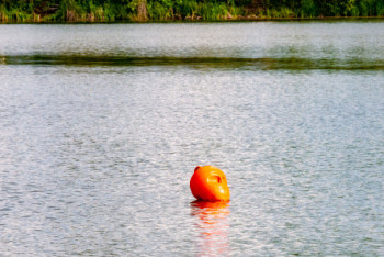 Фотография к новости: Дети едва не утонули в Капшагайском водохранилище