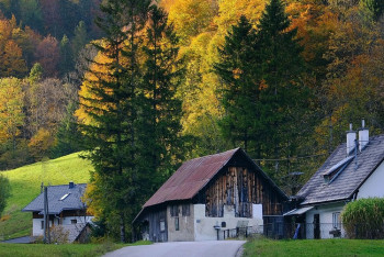 Фотография к новости: Кандасов переселяют в регионы с нехваткой рабочих рук