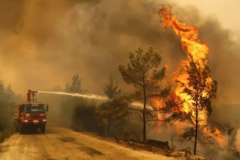 Фотография к новости: Огонь атакует Анталью: эвакуированы сотни людей, отменены рейсы