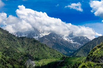 Фотография к новости: За незаконное строительство в предгорье Алматы осудили сотрудников акимата