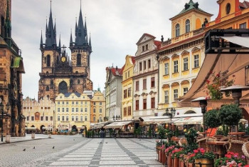 Фотография к новости: Чесотка атакует Прагу: число заболевших резко растёт