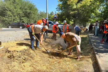Казахстанцы выбрали традиционный день для уборки