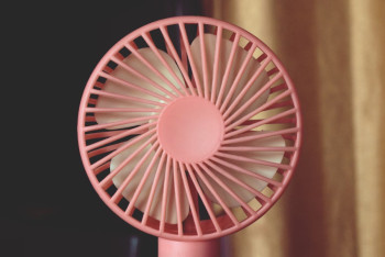 Жара до 44 градусов прогнозируется в Казахстане