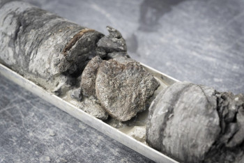 Фотография к новости: В США под автостоянкой музея обнаружили кость динозавра — находке 67 миллионов лет