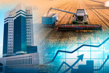 Фотография к новости: Саранча, техника и цены: итоги шести месяцев в сельском хозяйстве