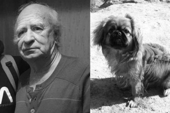 Фотография к новости: В Актау нашли мертвыми пропавшего пенсионера и его собаку