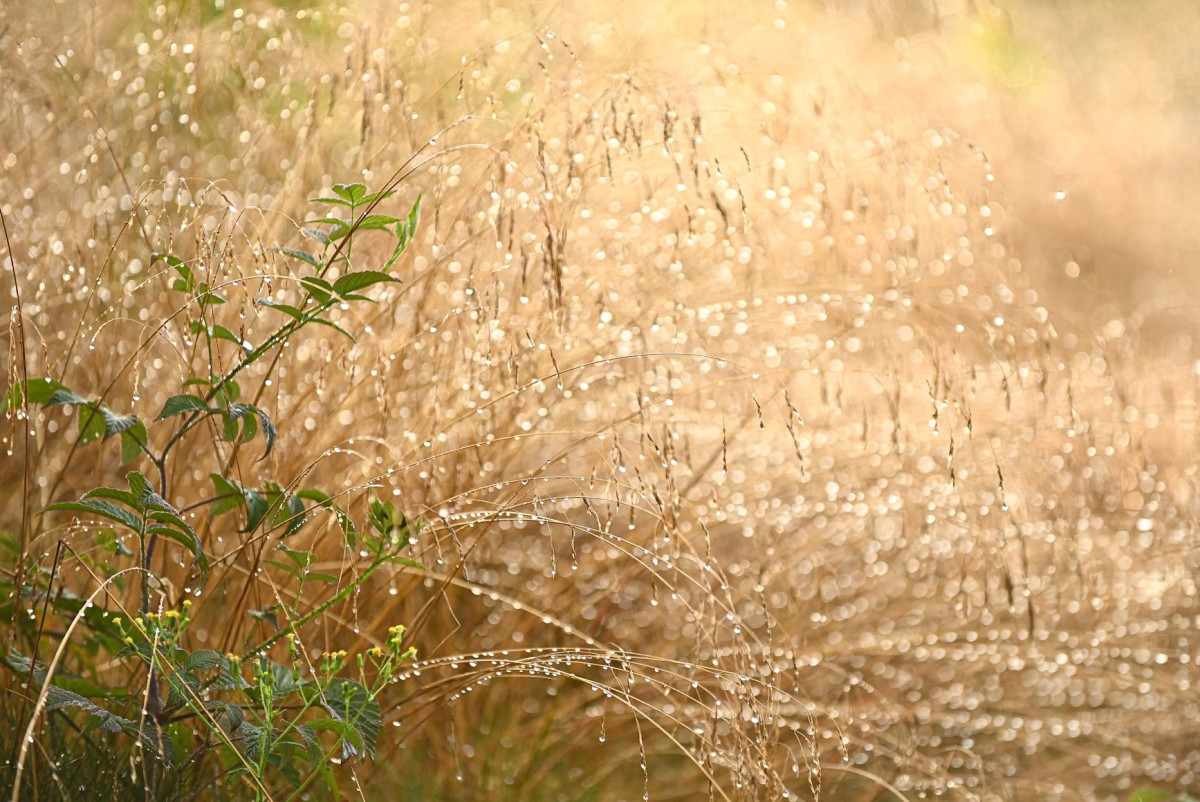 Unsplash