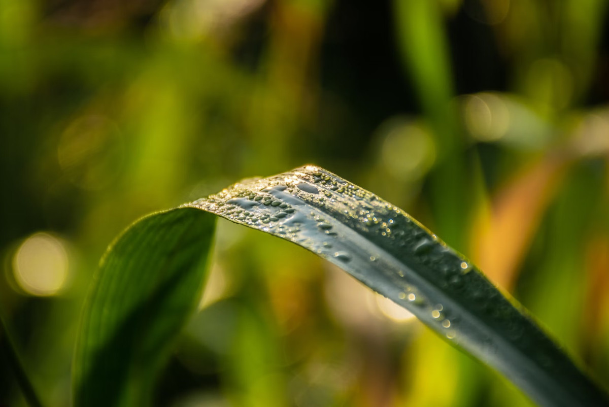 Unsplash