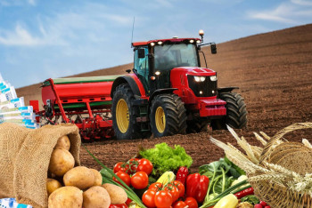 Фотография к новости: В сёлах Казахстана реализуют более тысячи проектов до конца года