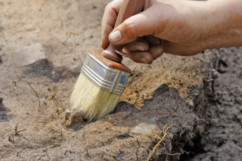 Фотография к новости: В Баянауле обнаружены уникальные сокровища сакской цивилизации