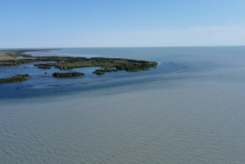 Фотография к новости: Уровень воды в озере Балхаш продолжает расти
