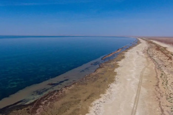 Фотография к новости: Лес на дне Арала: Казахстан запускает амбициозный проект озеленения