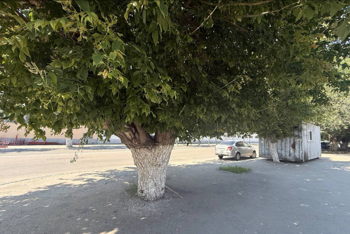 Аскара Кенжетаева