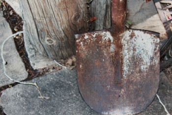 Фотография к новости: Акмолинка сломала сыну палец лопатой