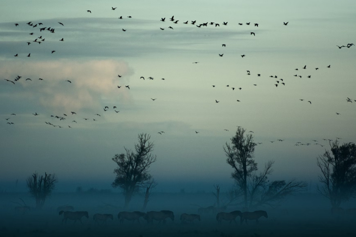 unsplash
