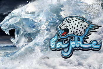 Фотография к новости: В "Барысе" начались кадровые изменения