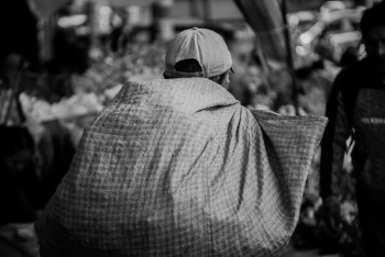 Кандасы и переселенцы интегрируются — Минтруда отчиталось о результатах