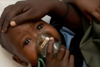 Фотография к новости: Вспышка лихорадки Ласса в Нигерии: число погибших достигло 151