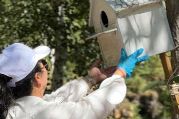 В Улытау прошли десятки акций по уборке и озеленению